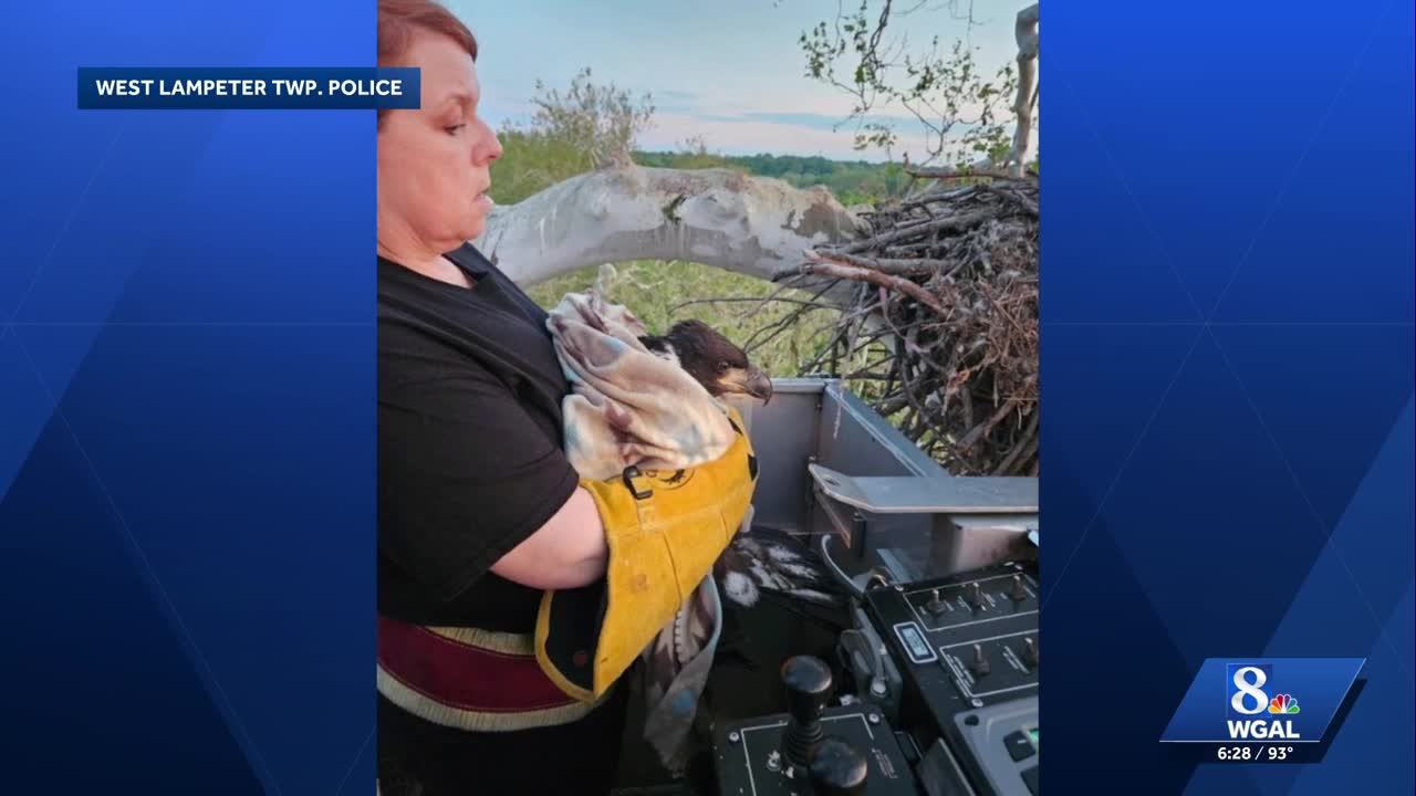 Eagle reunited with family after fishing hook injury in Lancaster County