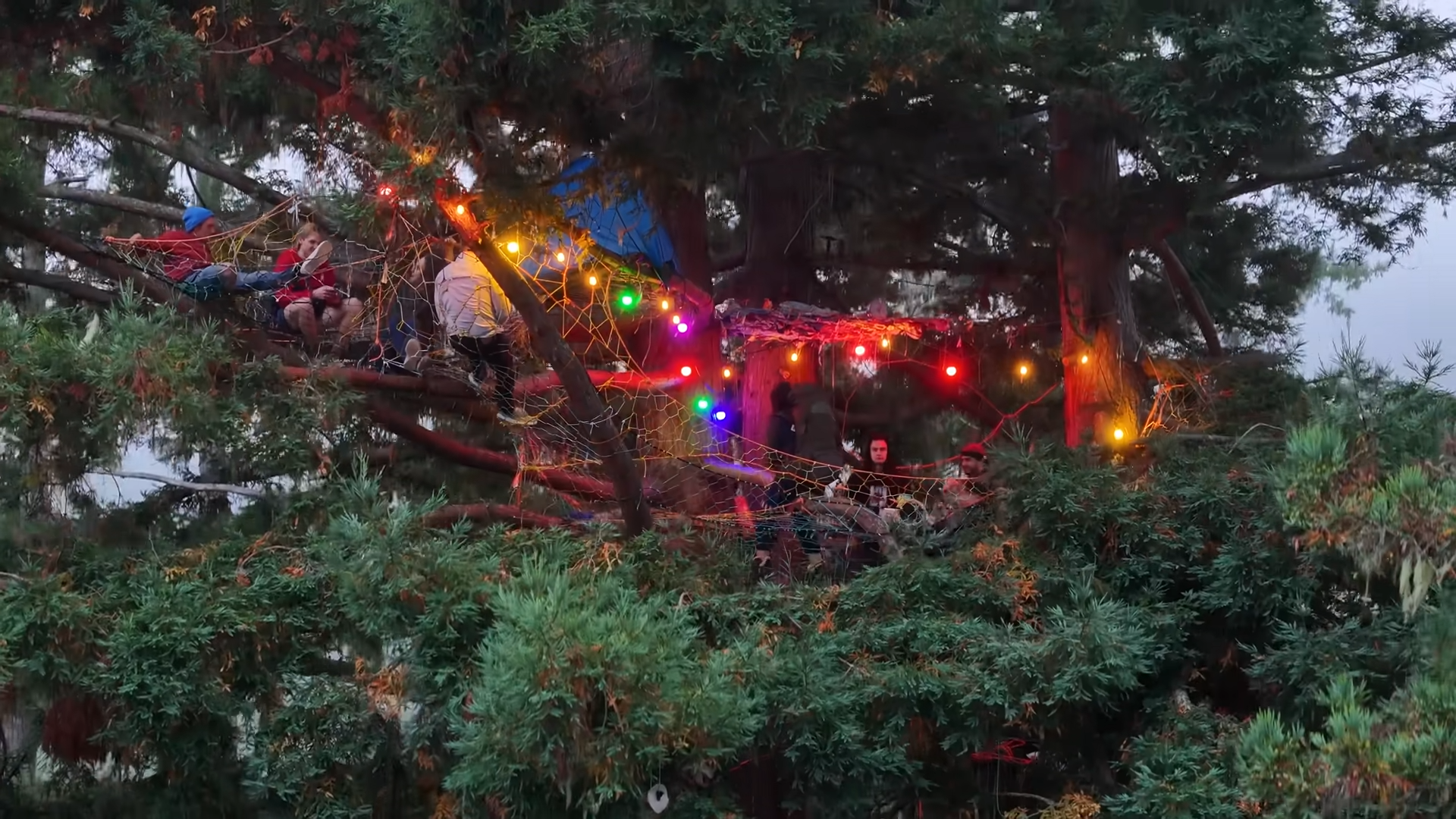 They built a 100-foot treehouse using only ropes
