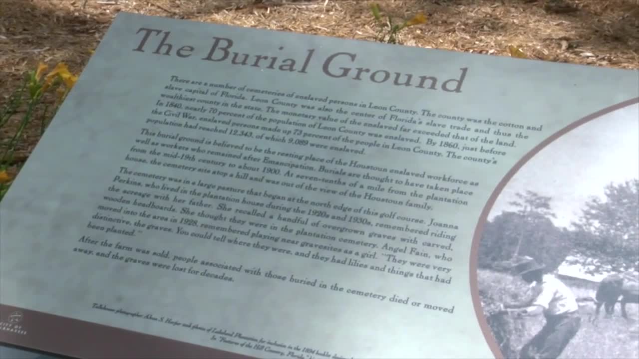 Houstoun Plantation Cemetery Tour