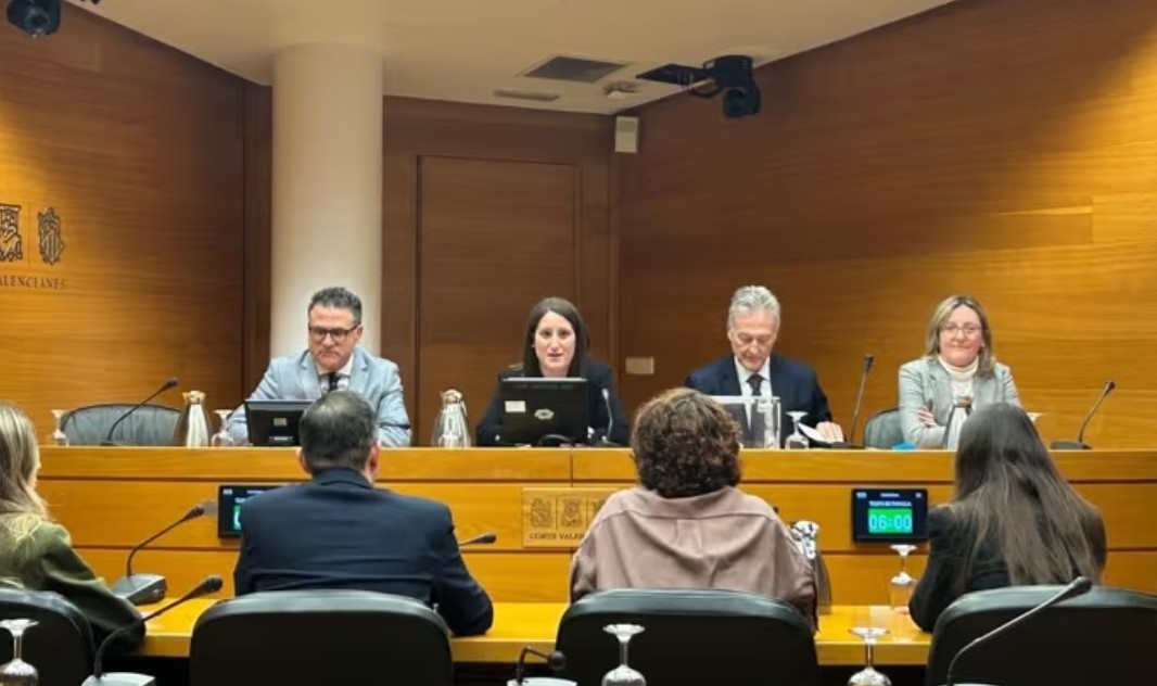 Vox no suelta el hueso: quiere forzar a Barcala a comparecer en les ...