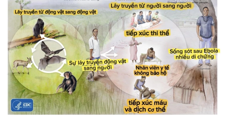 Bệnh do vi rút Ebola, biết đúng thì không sợ