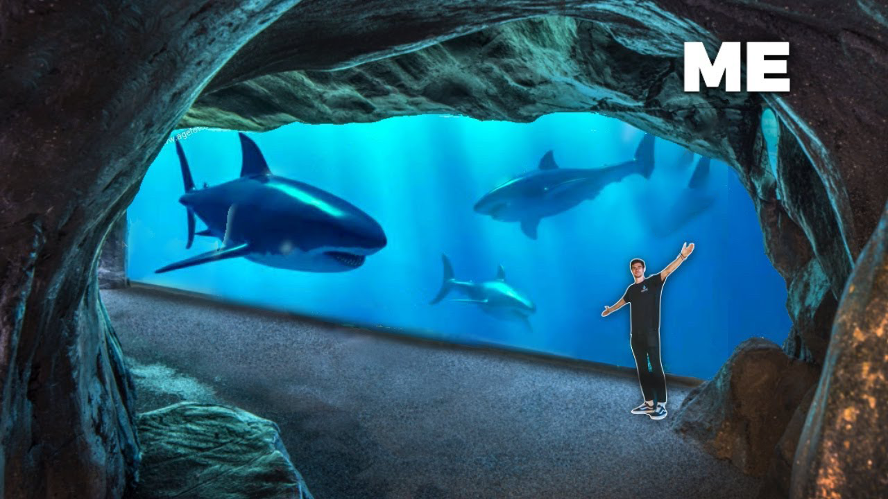 Usa Aquarium Capacity For Aquarium Sections photo