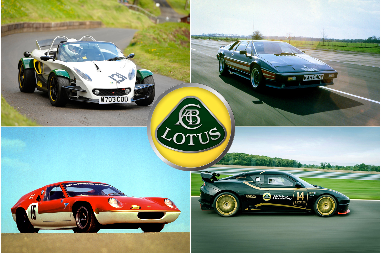 Lotus: its biggest sellers, and its smallest