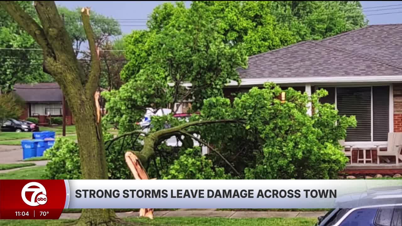 Monday storms leave downed trees, other damage across area