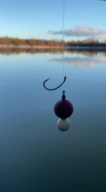 Carp rig setup for viral fishing results