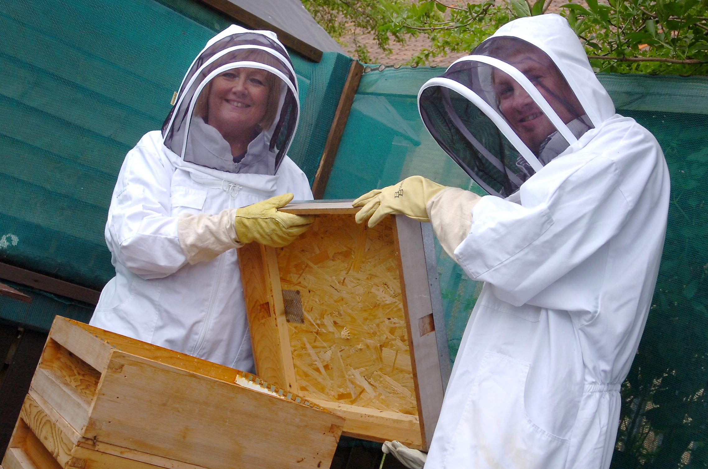 Getting a buzz from a gallery of bee scenes from 1940 to 2012 in ...