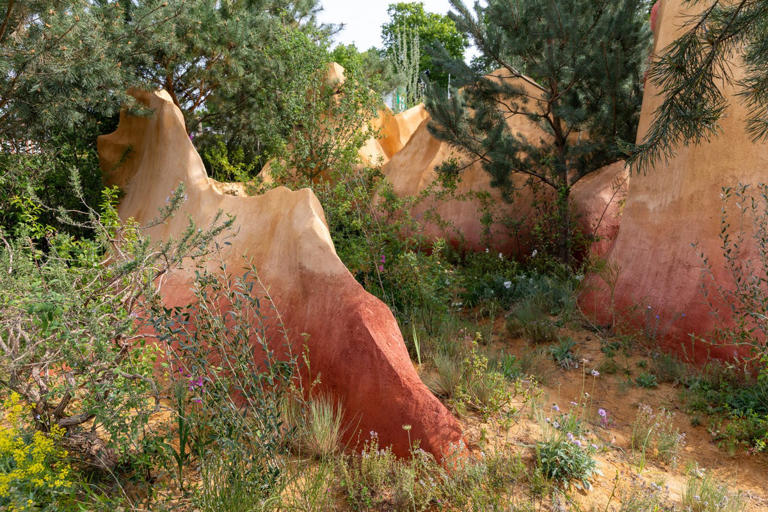 What happens to the RHS Chelsea Flower Show 2026 gardens after the show?