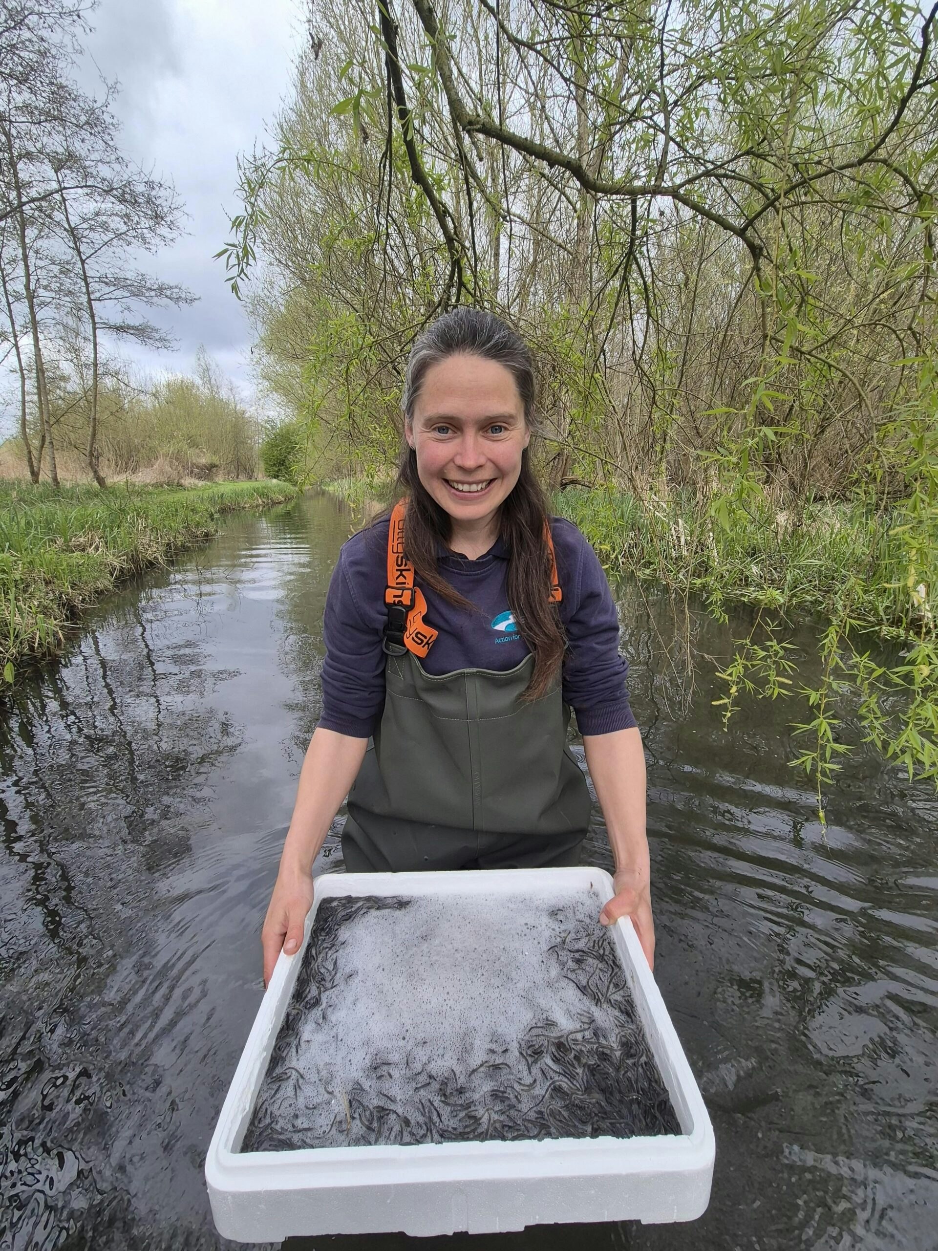 The race to save one of the UK’s most endangered fish species