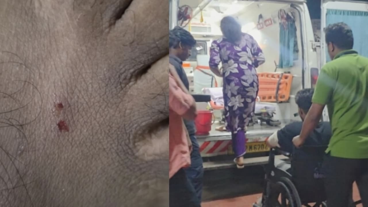 Snake bite scare in Kerala: Two separate incidents rock Thamarassery in ...