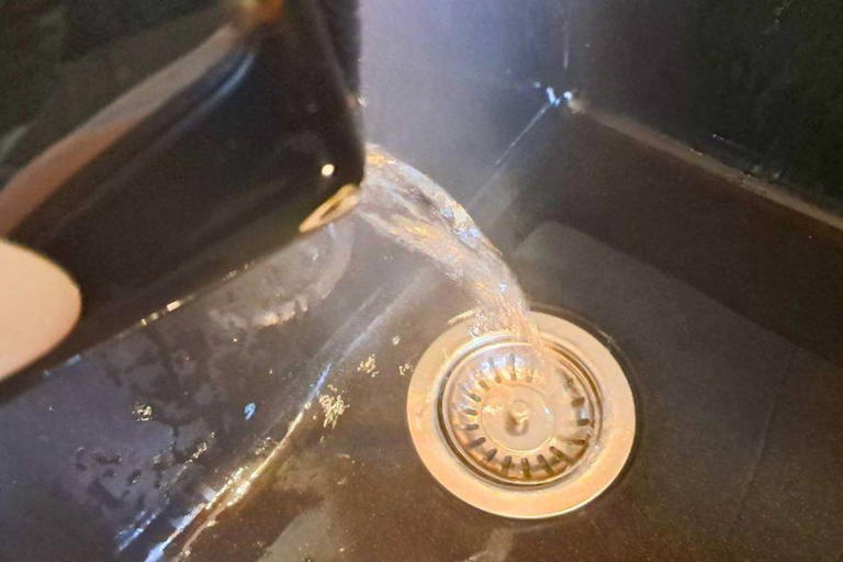 I keep flies out of my home by doing easy 30-second task every day — no ...
