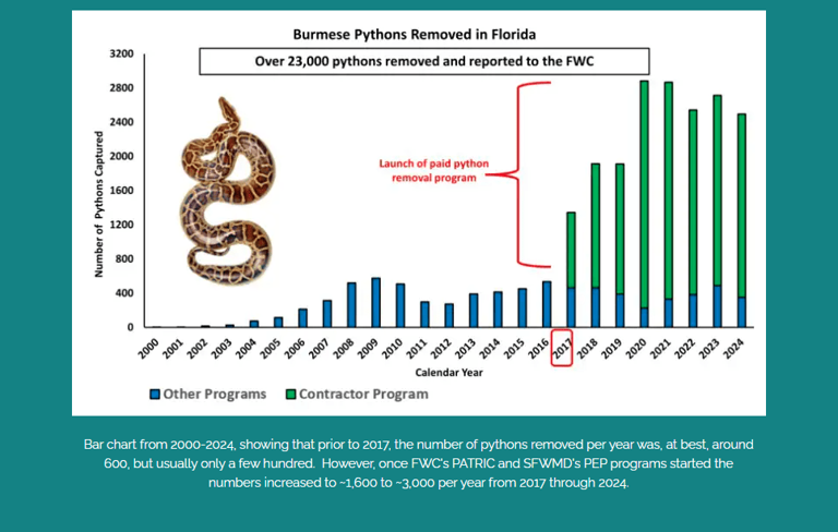 2026 Florida Python Challenge starts today: What to know