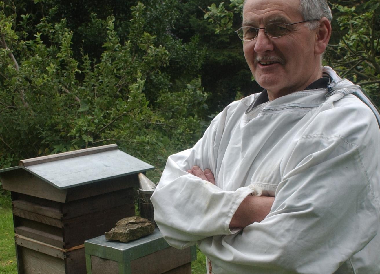 Getting a buzz from a gallery of bee scenes from 1940 to 2012 in ...