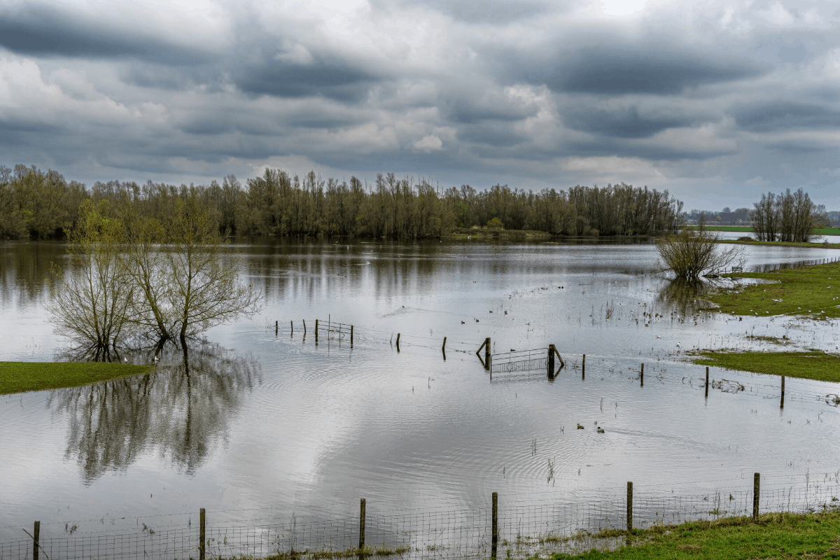Maison en zone inondable : comment réagir en cas de sinistre