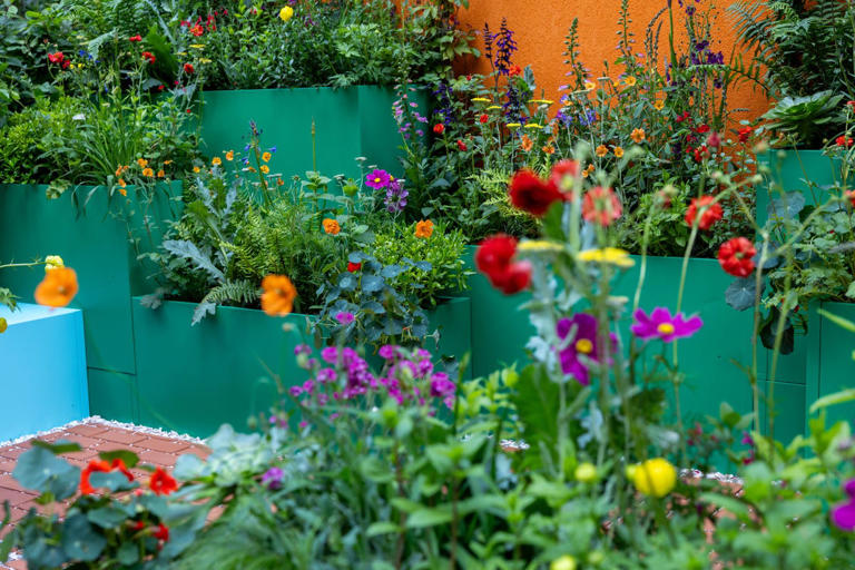 What happens to the RHS Chelsea Flower Show 2026 gardens after the show?