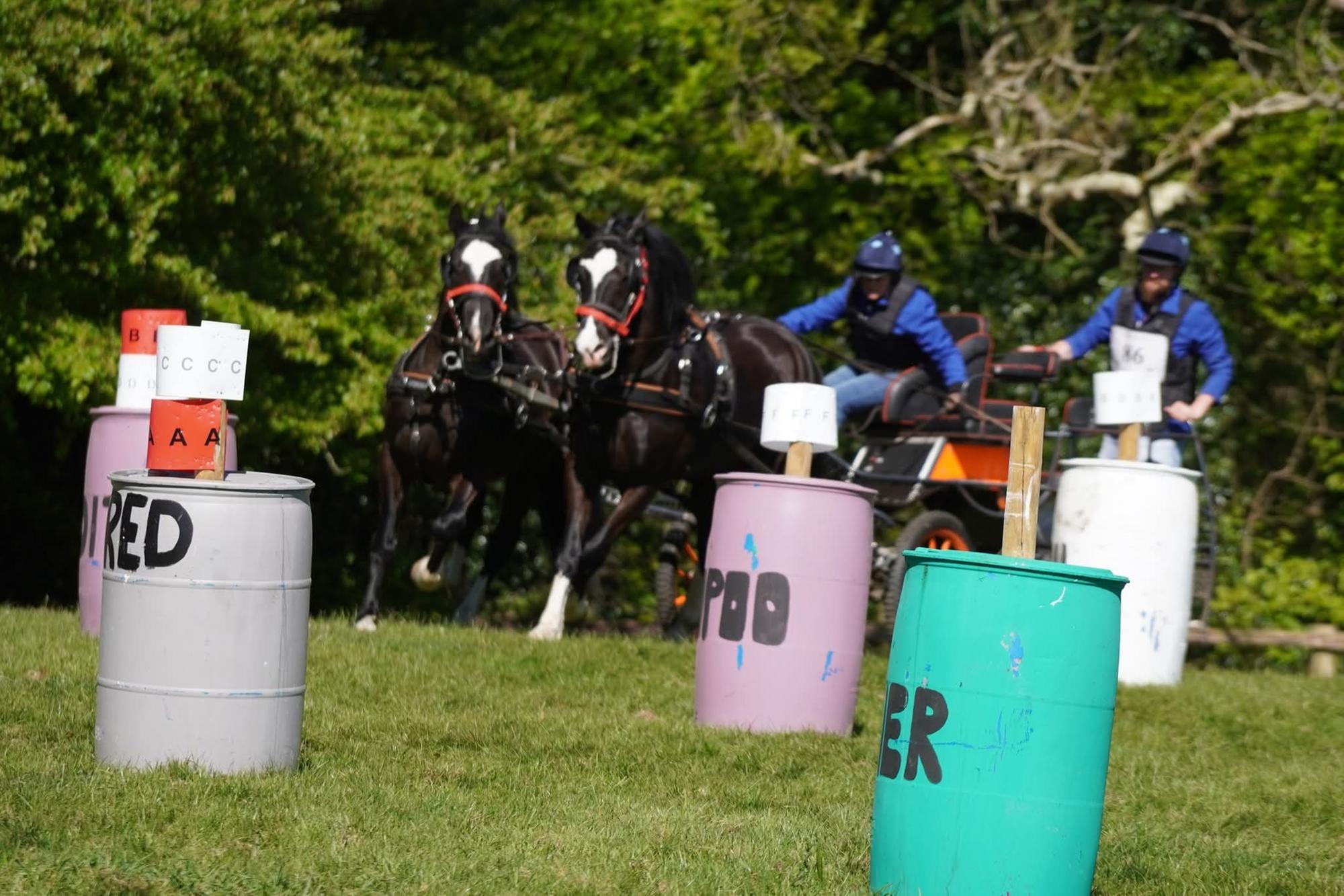 Horse Week: Horse driving trials return to Rademon Estate for first ...