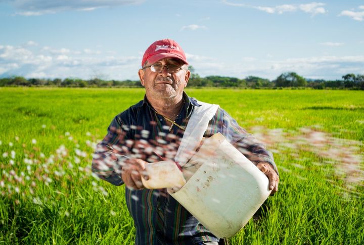 The heart and humor of growing up rural in America