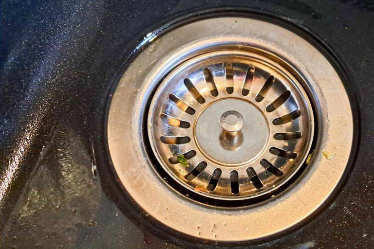 I keep flies out of my home by doing easy 30-second task every day — no ...