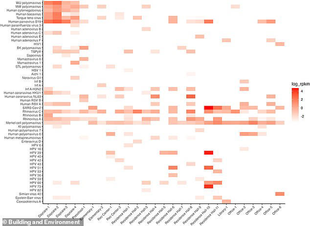 The viruses lurking in your office: Study uncovers 54 distinct bugs in ...