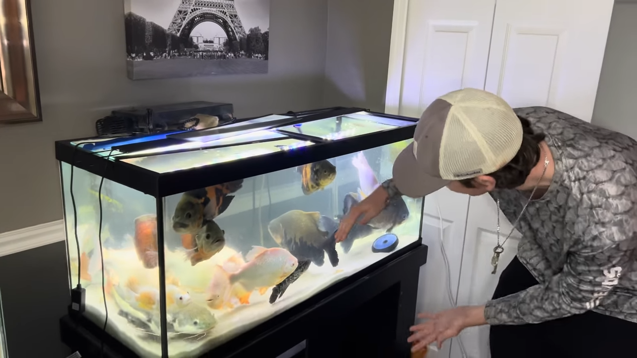 They thought it was just an overcrowded aquarium until they found ...
