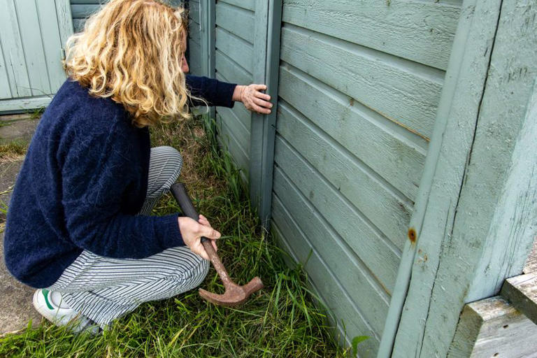 Legal rules on fence shared with your neighbour explained
