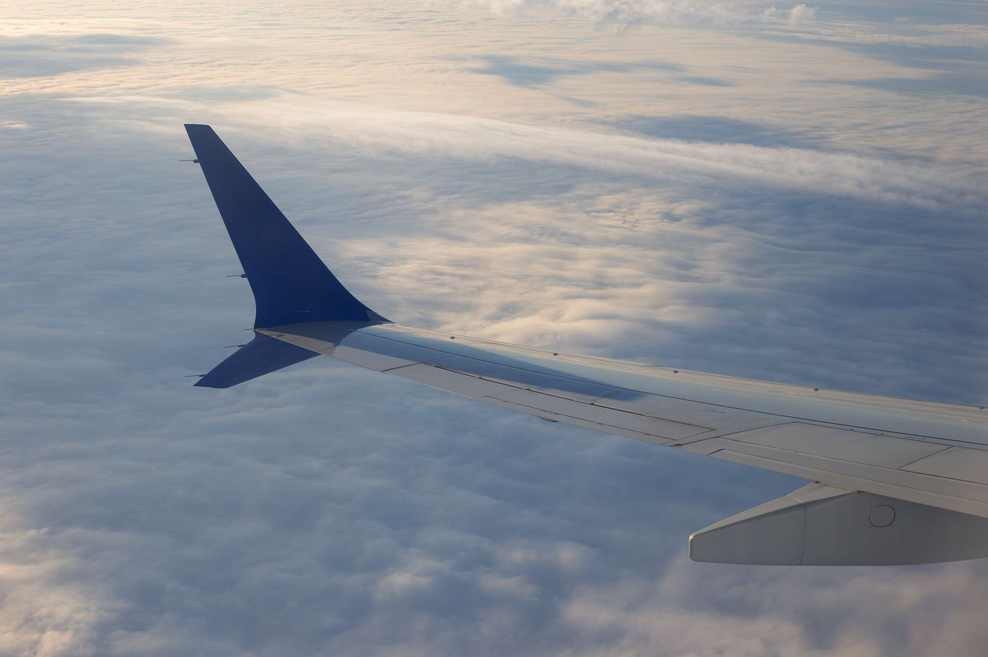 This week in August has the cheapest flights for summer travel ...
