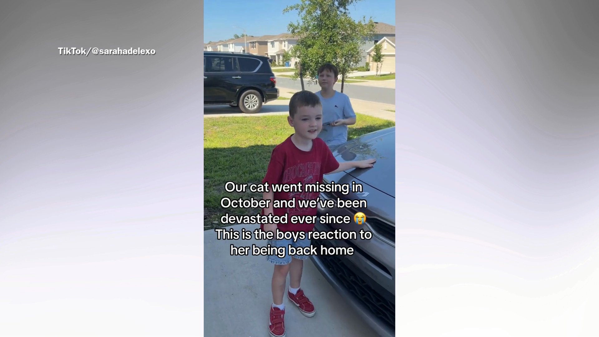 Tears as family reunites with cat that went missing last year