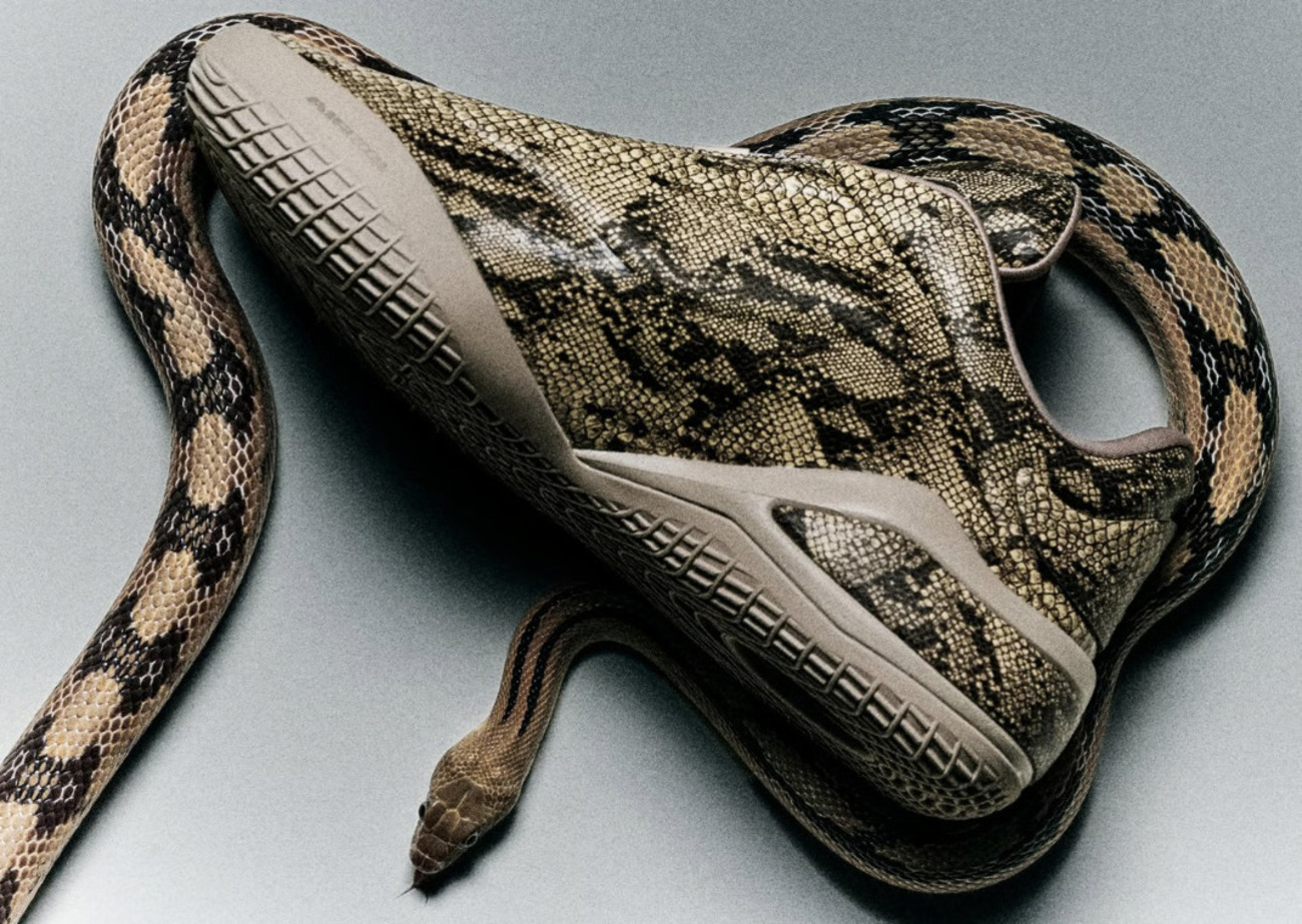 Snakeskin takes over the Converse Shai 001 in new 'Slither' colorway