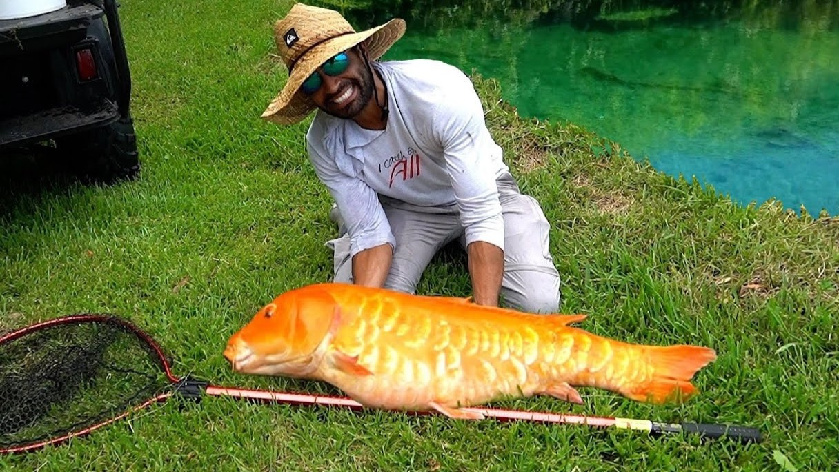 Turning part of the lake into a monster fish cage