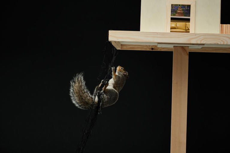 Carling Black Label revives iconic 1990s squirrel advert with a modern ...