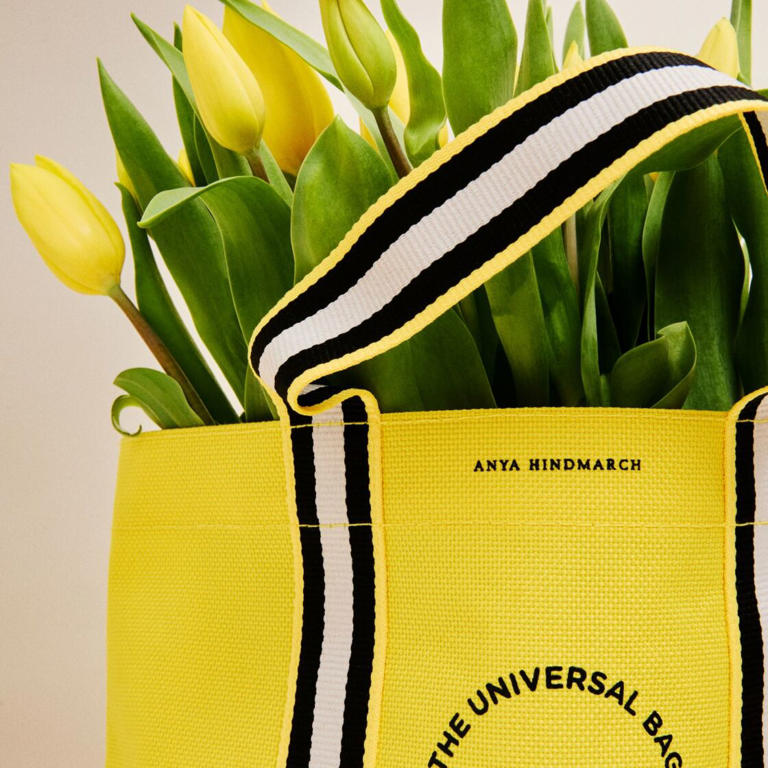 PSA: Anya Hindmarch is launching a new bag collaboration – and
