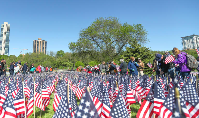 Memorial Day flags intact after police chase ends in Veterans Park