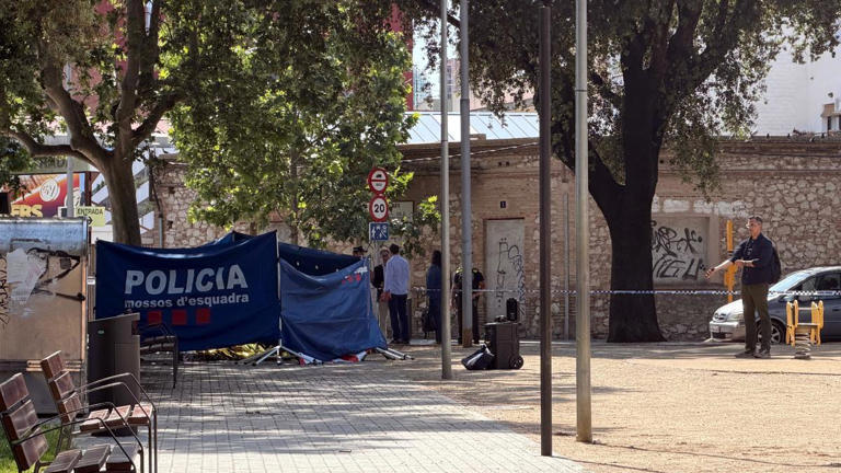 Un hombre mata a puñaladas a su expareja en plena calle en Figueres