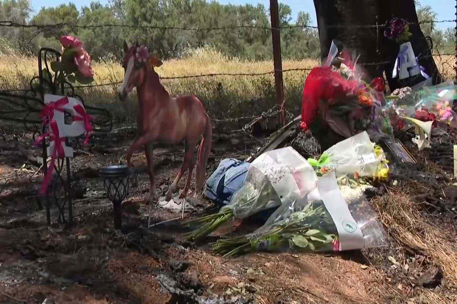 2 teens die, 3 others injured after car crashes into tree and becomes ...