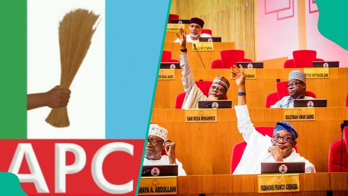 Court of Appeal sacks popular APC senator, gives reason