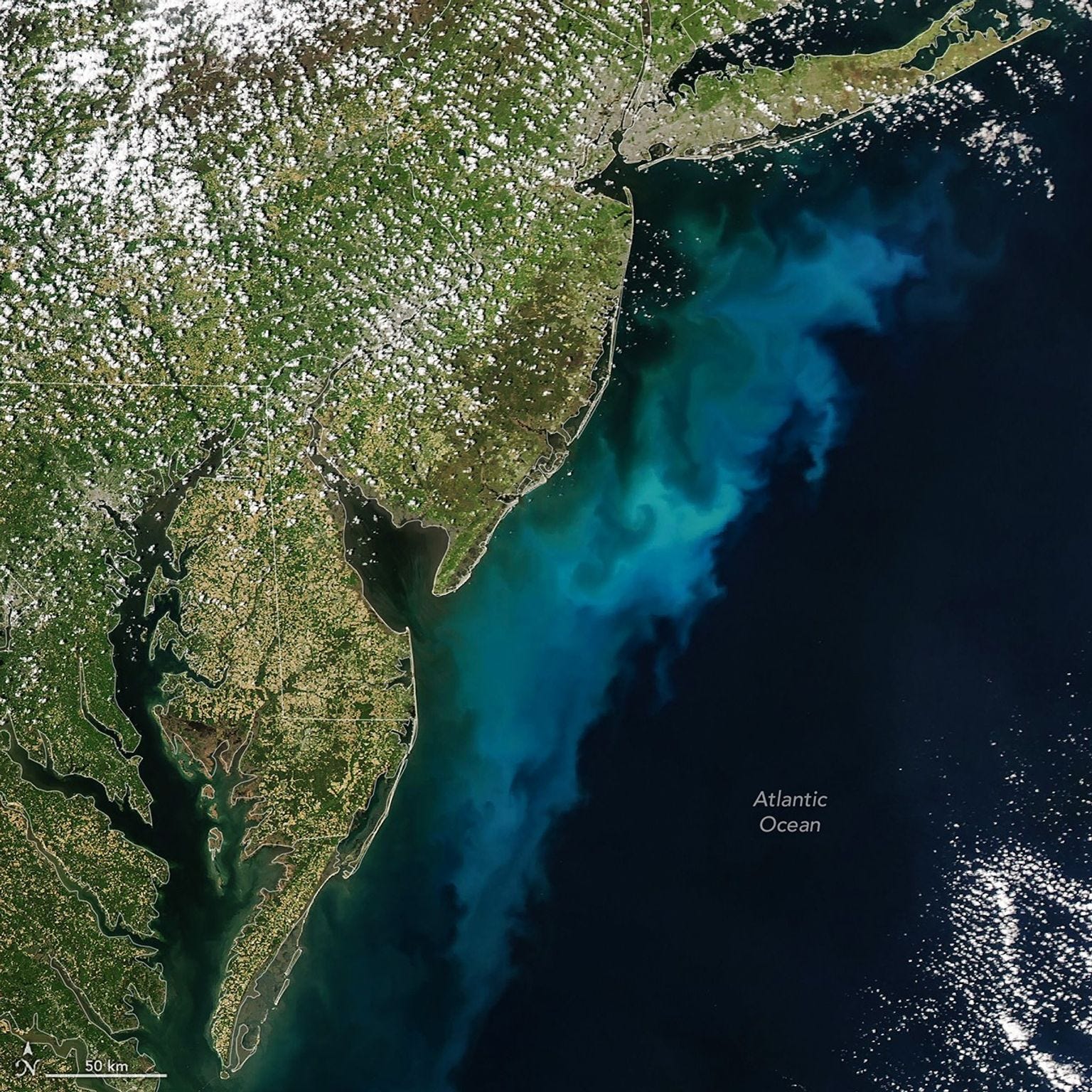 Large phytoplankton bloom turns New Jersey's ocean a tropical color