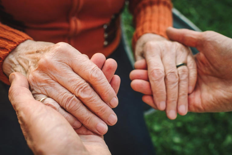 Scientists say human right-handedness may have evolved from ancestors