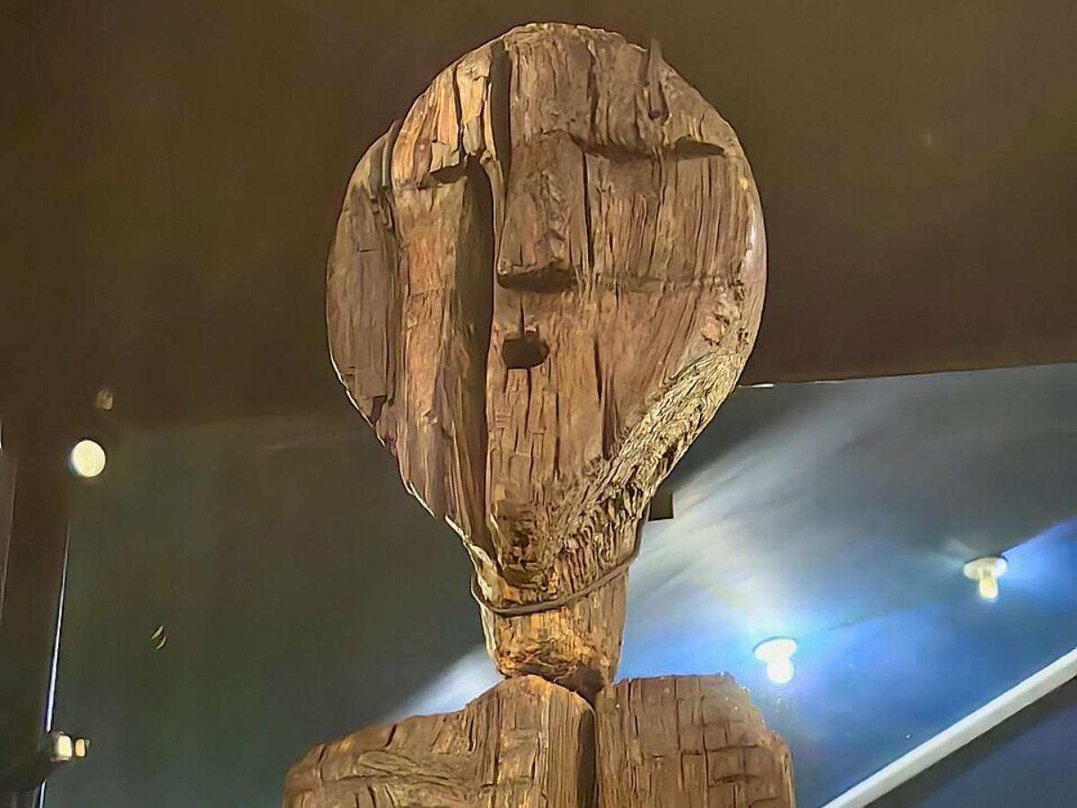 Gold Miners' 1890 Discovery Shook Prehistoric History