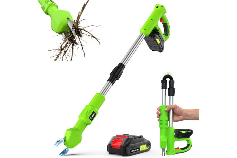 Forget chemical sprays and back straining—this weeder tool is the best ...