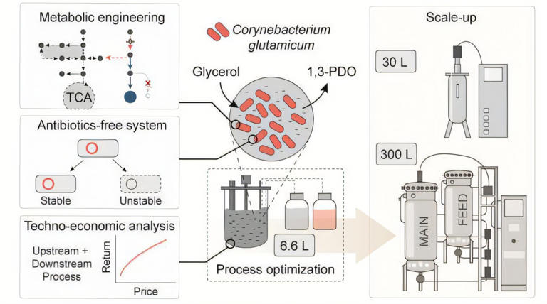 Engineered microbes turn biodiesel waste into plastic ingredient at 300 ...
