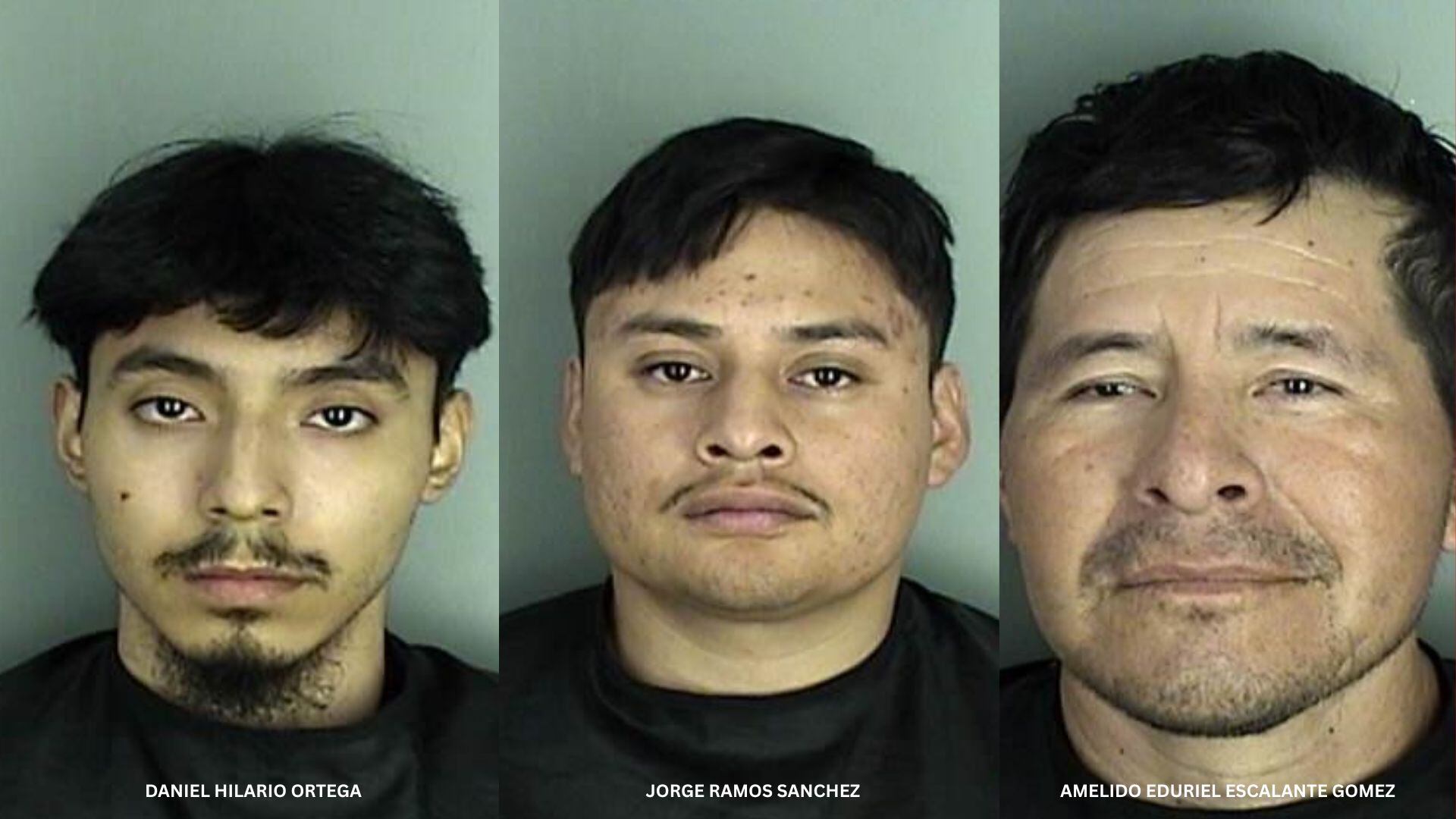 Police: Over 2,500 grams of drugs seized in search warrant in Greenwood