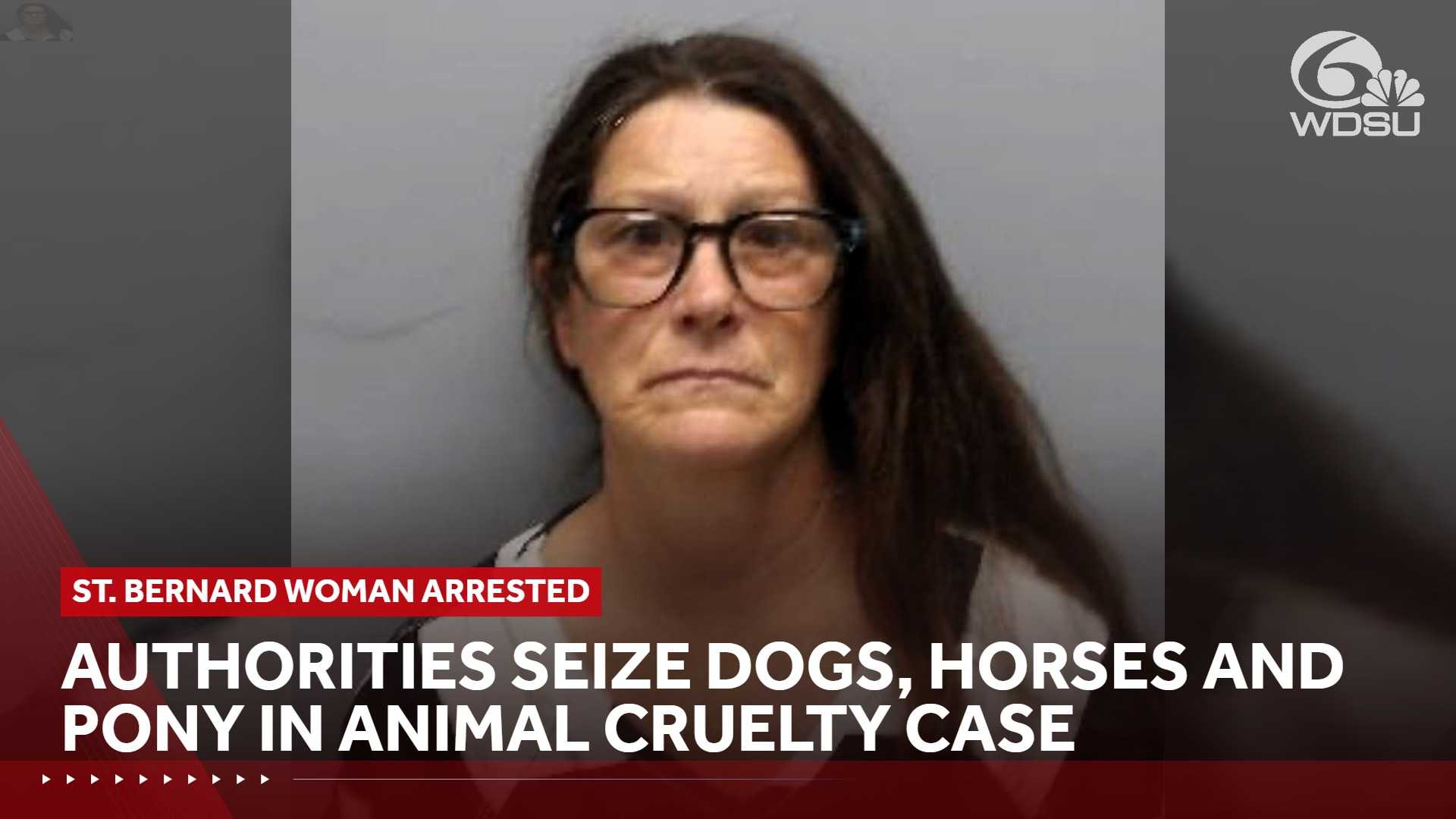St. Bernard woman arrested in animal cruelty investigation