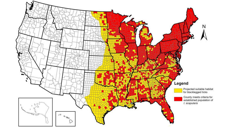 Are Lyme disease ticks in Texas? What Austin-area residents should know