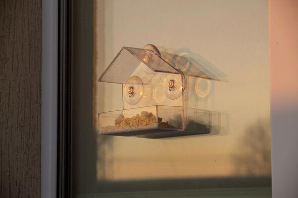Warning issued to anyone with a bird feeder in the garden