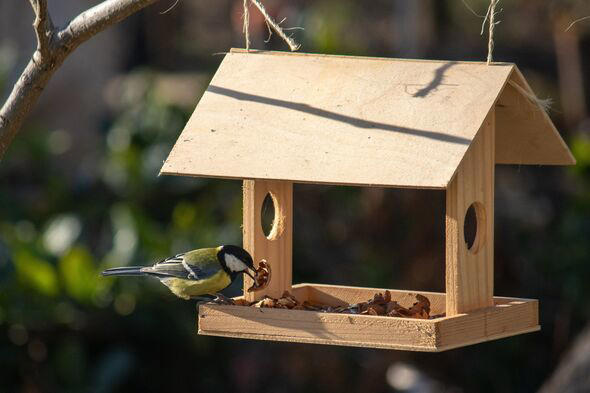 Warning issued to anyone with a bird feeder in the garden