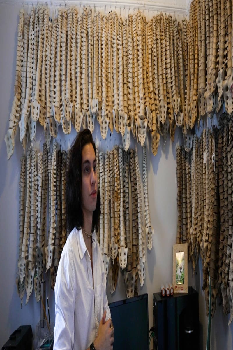 Young entrepreneur makes human bones educational