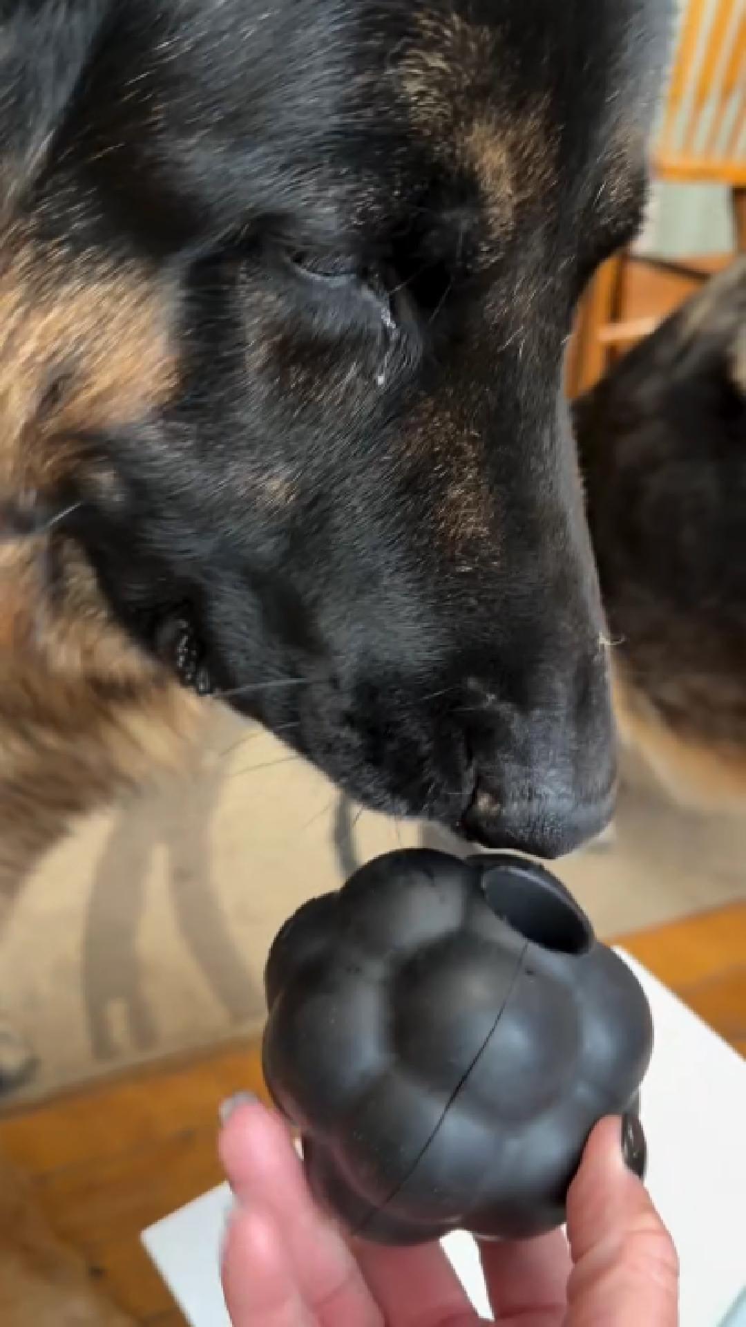 This dog toy box might have just found a new fan favorite