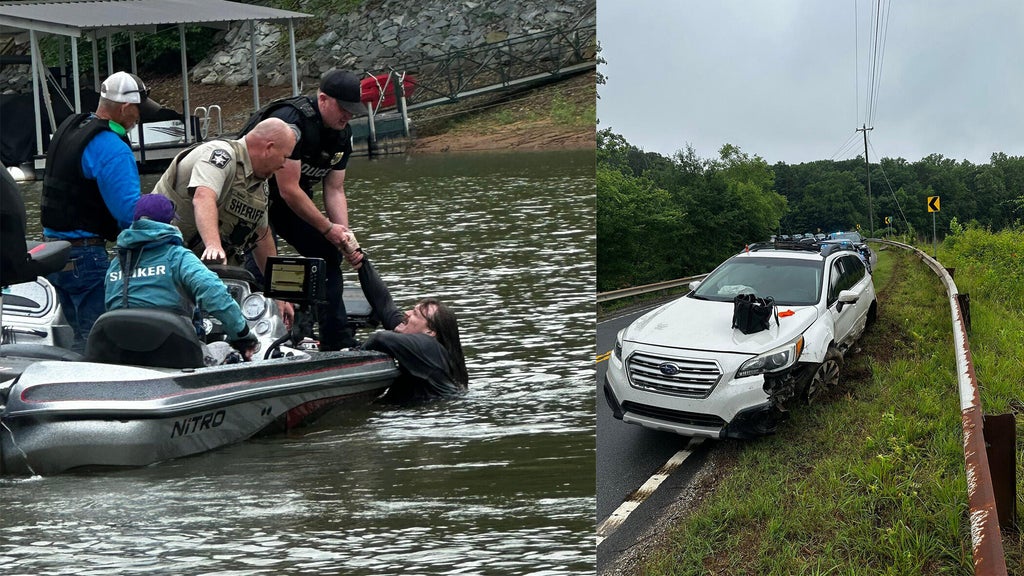 Driver of stolen car jumps in Georgia lake to try and escape officers ...