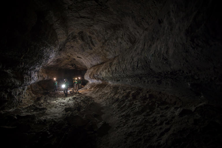 Scientists want to send a roly-poly robot to investigate hidden tunnels ...
