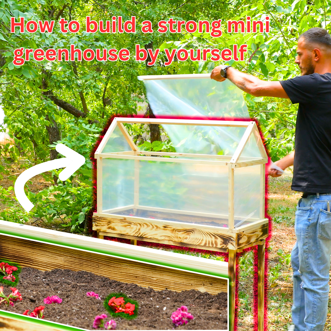 How to build a strong mini greenhouse by yourself🌿