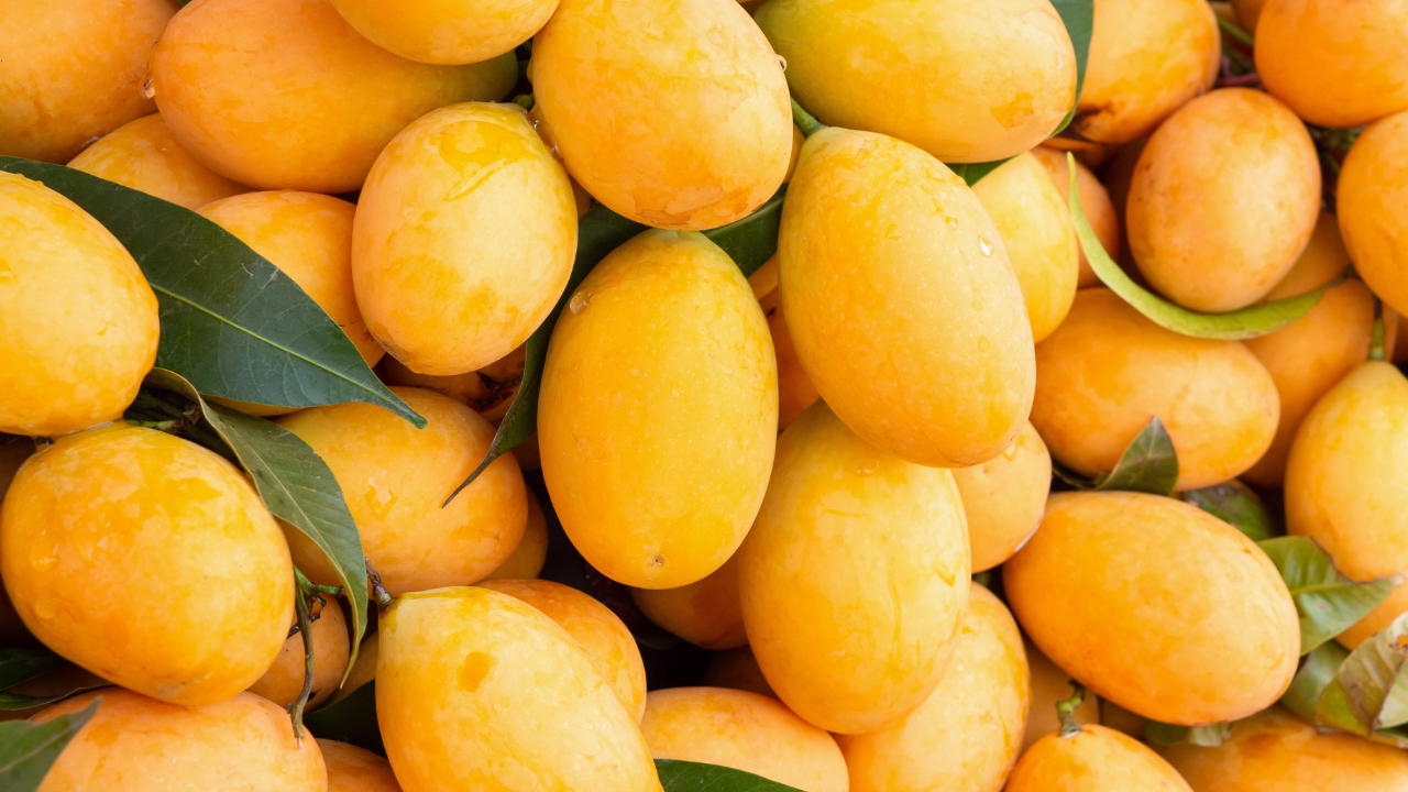 What is the ideal storage temperature to make mangoes last up to 3 ...